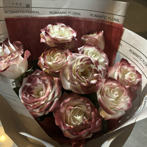 日本男人吮乳吃奶A片免费
